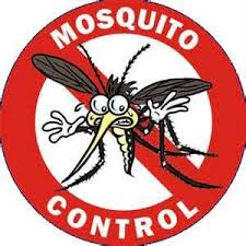 no-mosquito2